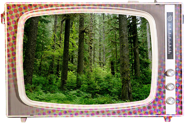 How e-learning helps the environment